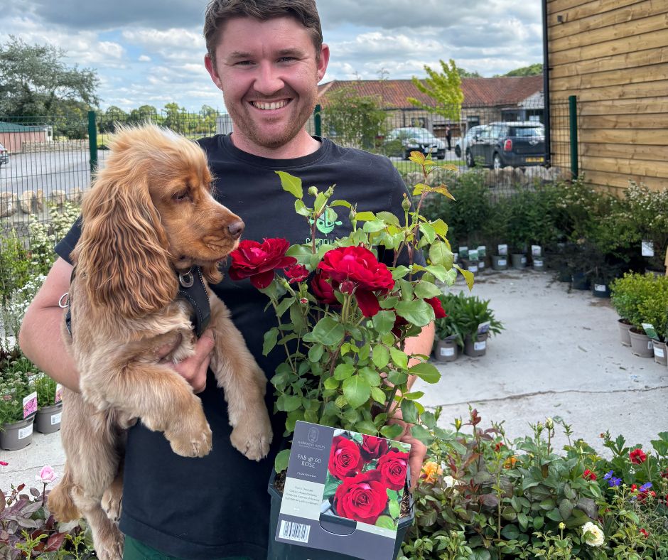 Dog friendly holiday park near Durham
